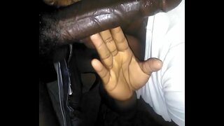 В полдень поднимите голову с дивана