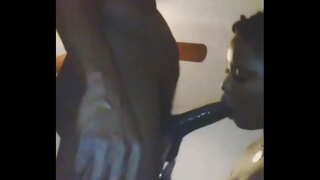 Niks soos&#039;n teef wat lief is om te suig piel