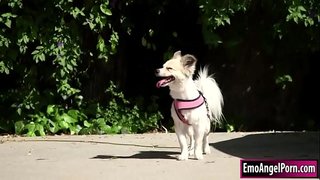 Մանրանկարչություն փոքրիկ երգիչներ " երգչախումբը լավագույններից նկարահանել է գտնում իր շանը տարածքում հարեւաններին.Նրա հարեւանուհին ուզում է մրցանակներ, նրանք հանում է հագուստը, և այդ ժամանակ նա глотает հարեւաններին бигкок.Ի պատասխան նրա հարեւանն է դասակարգել ըստ նրա pussy եւ էշի խորը եւ խիստ, մինչեւ որ նա տղամարդ է նրան.