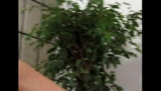 ���ెట్రో - Lesbian Sex - సన్నివేశం 8 - సారం 2